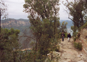 gal/Bushwalking/mcmahons_lookout/_thb_img118a.jpg