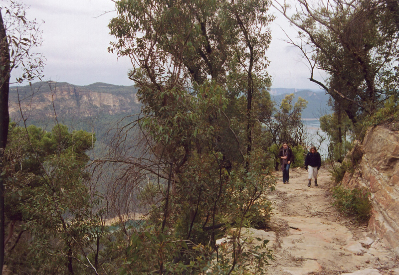 gal/Bushwalking/mcmahons_lookout/img118a.jpg