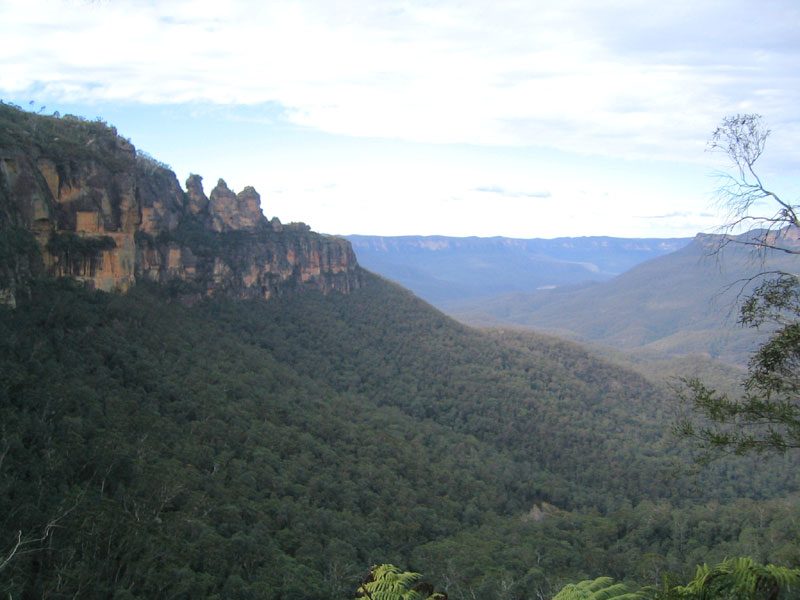 gal/Bushwalking/under_narrowneck/IMG_3162.jpg