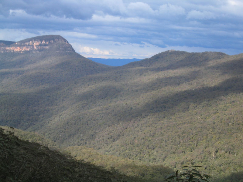 gal/Bushwalking/under_narrowneck/IMG_3170.jpg