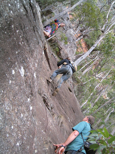 gal/Bushwalking/under_narrowneck/IMG_3194.jpg