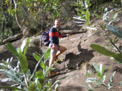 gal/Bushwalking/under_narrowneck/_thb_IMG_0747.jpg