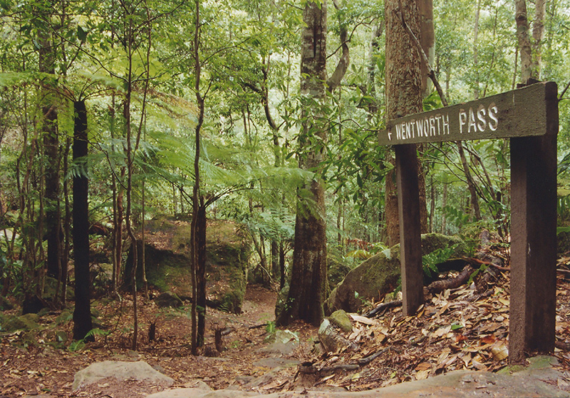 gal/Bushwalking/wentworth_pass/img104a.jpg