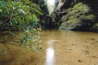 gal/Canyoning/wollangambe_canyon/_thb_img047.jpg