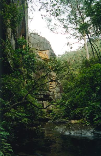 gal/Canyoning/wollangambe_canyon/img039.jpg