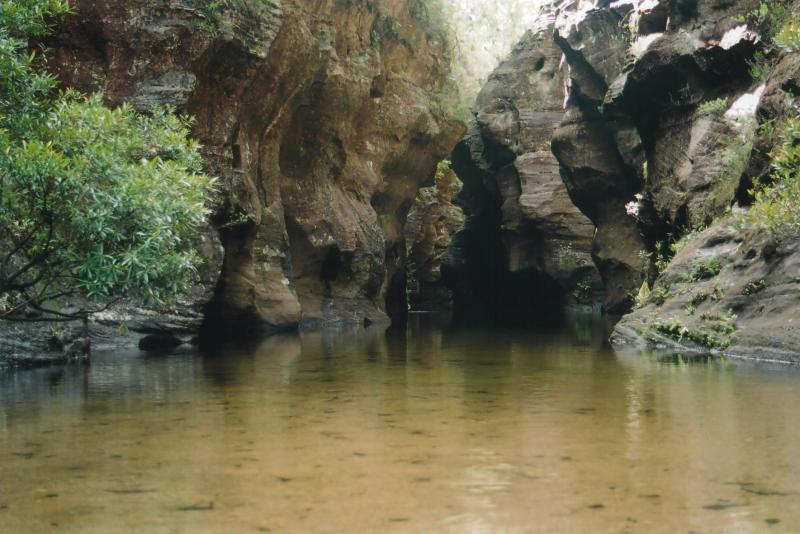 gal/Canyoning/wollangambe_canyon/img046.jpg