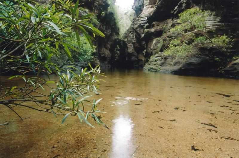 gal/Canyoning/wollangambe_canyon/img047.jpg