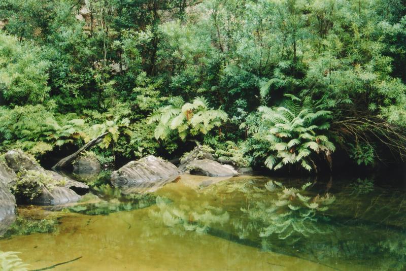 gal/Canyoning/wollangambe_canyon/img053.jpg