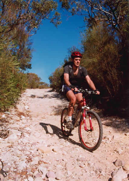 gal/Mountain_Biking/red_hill/img085.jpg