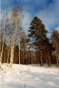 gal/Travelling/russia/nature/_thb_img009.jpg